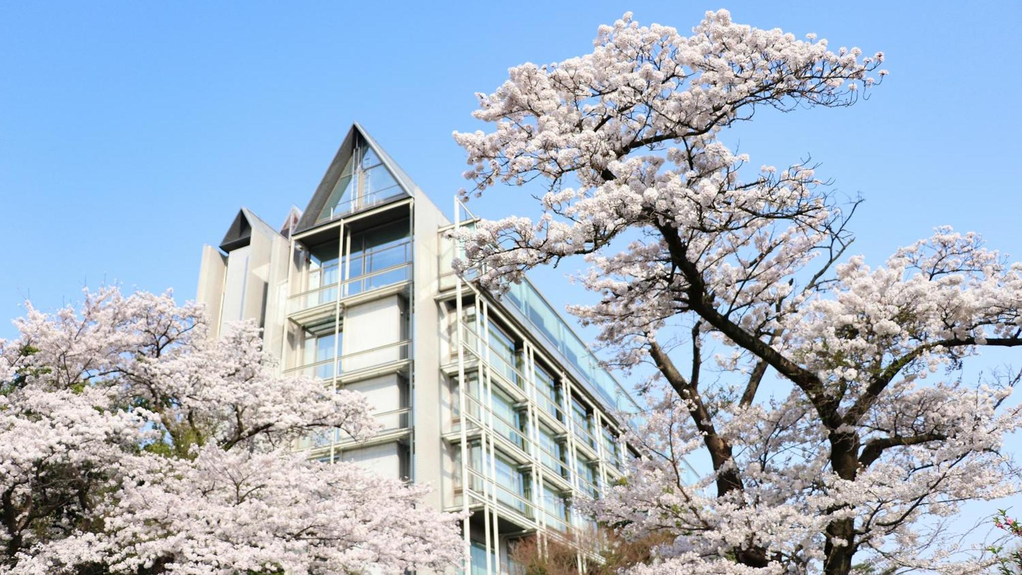 Kikusuitei Higashimurayama Ngoại thất bức ảnh
